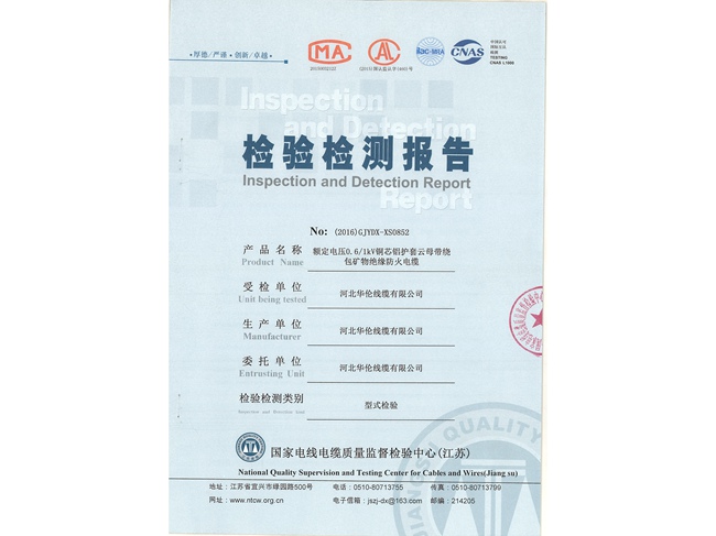 檢驗(yàn)檢測報(bào)告 